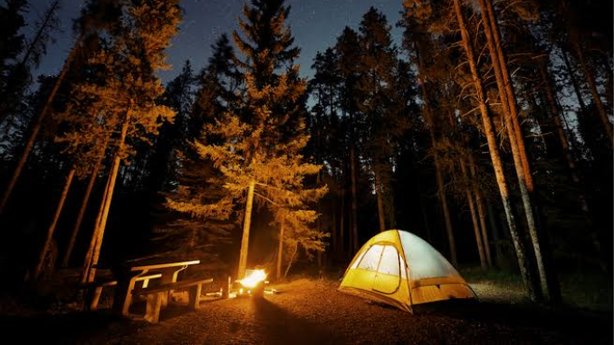 Temukan rekomendasi tempat camping di Jawa Timur yang sejuk dan instagramable, dari pegunungan hingga pantai. Cocok untuk healing dan melepas penat.